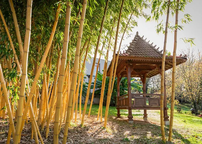 Vasco De Gama - D'architecte De Luxe Avec Piscine & Villa Sarlat-la-Canéda